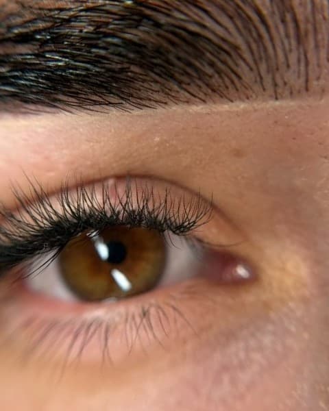 Classic Lash Fill