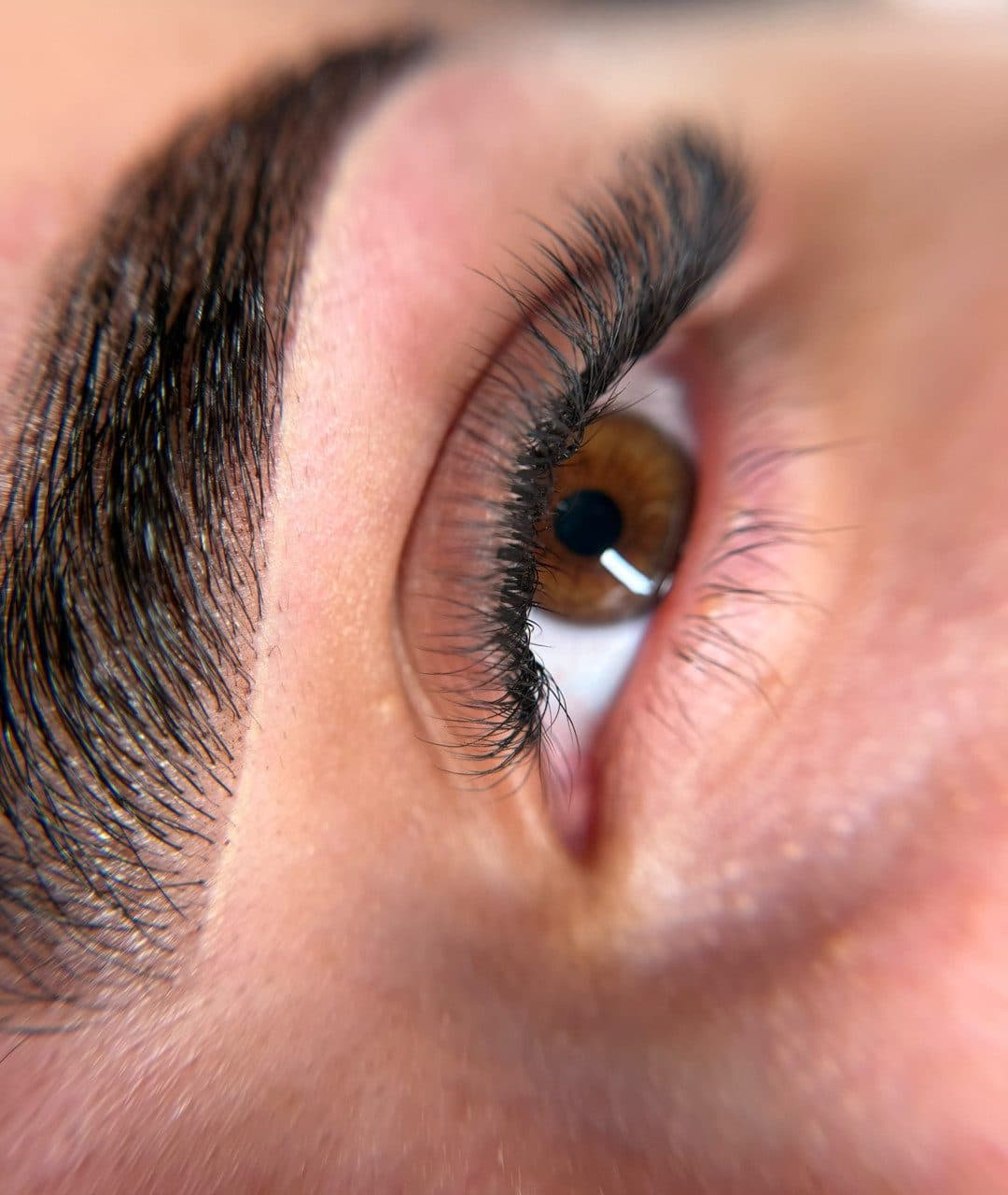 Medium Volume Lash Fill