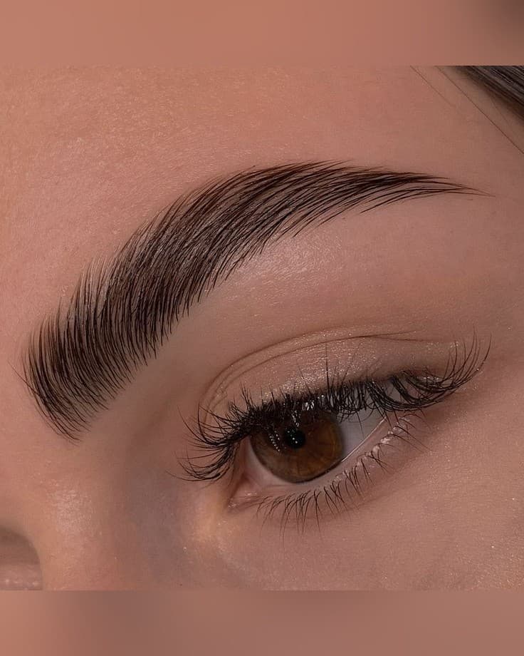 Brow Lami