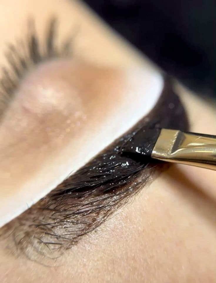 Brow Lami + Tint